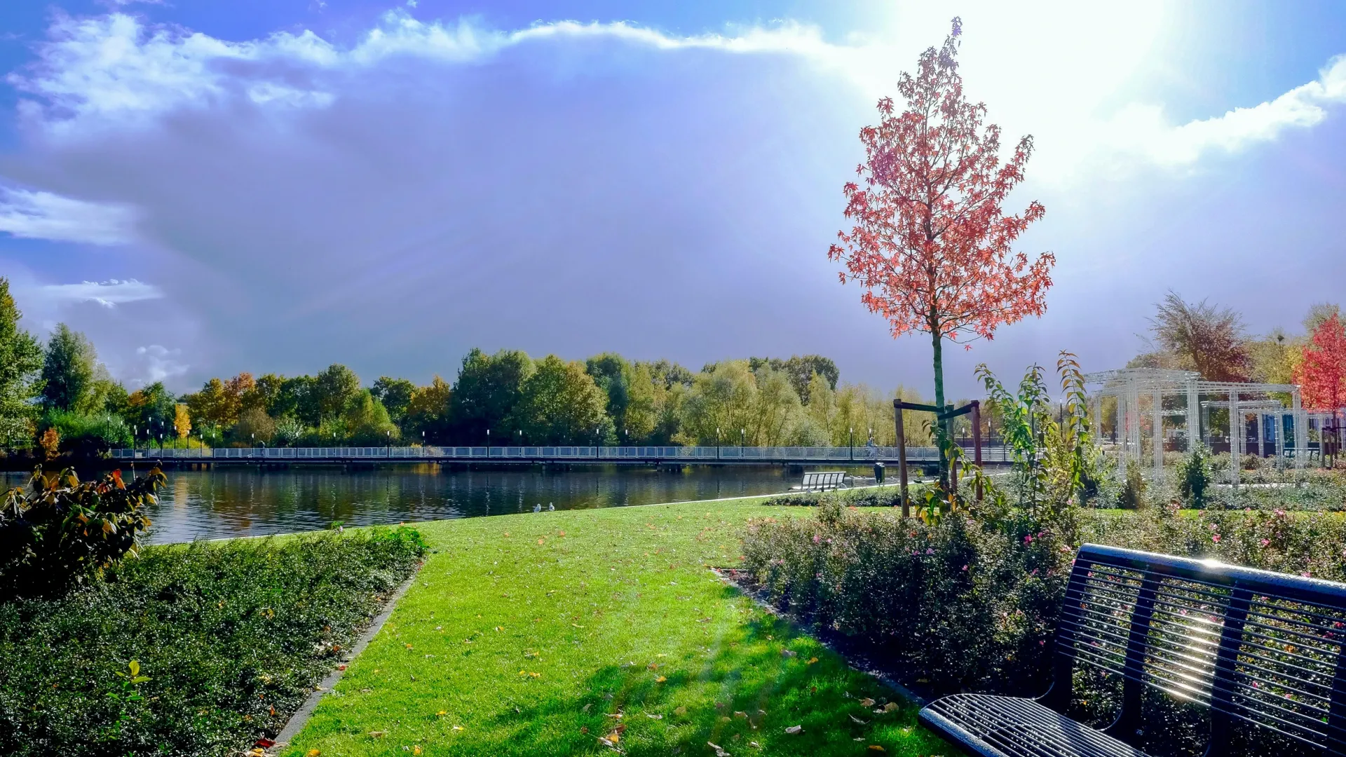 park with bench and landscaping
